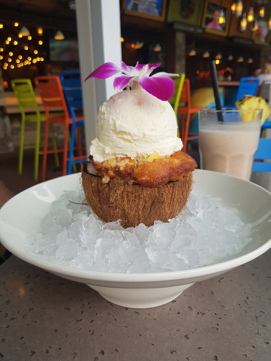 Bahama Breeze | meal takeaway | 1251 W Osceola Pkwy, Kissimmee, FL 34741, USA | 4073435903 OR +1 407-343-5903