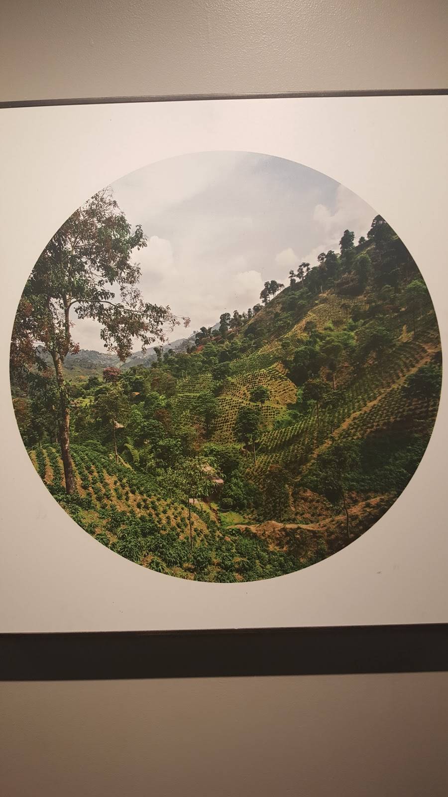 Starbucks | cafe | 350 Euclid Ave, San Diego, CA 92114, USA | 6192641865 OR +1 619-264-1865