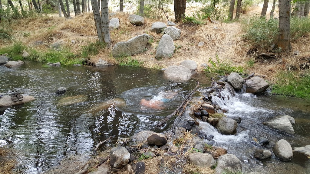 Seven Oaks Lodge | restaurant | 39950 Seven Oaks Rd, Angelus Oaks, CA 92305, USA | 9097942917 OR +1 909-794-2917