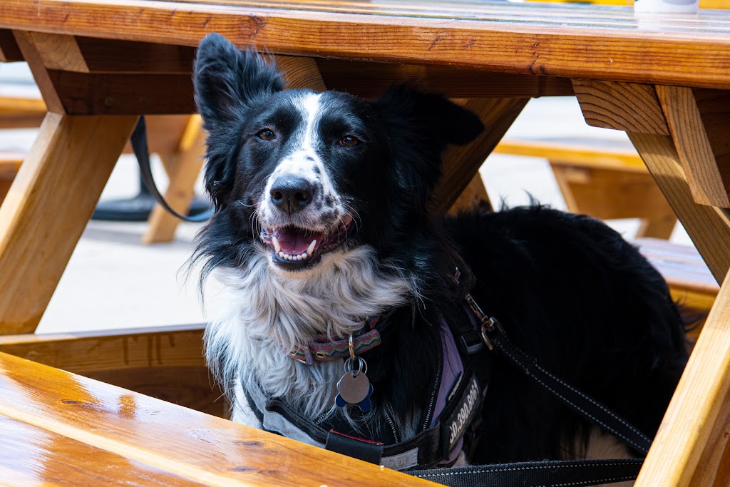 Lucy Dees BBQ | restaurant | 669 E Sheldon St, Prescott, AZ 86301, USA | 9282375765 OR +1 928-237-5765