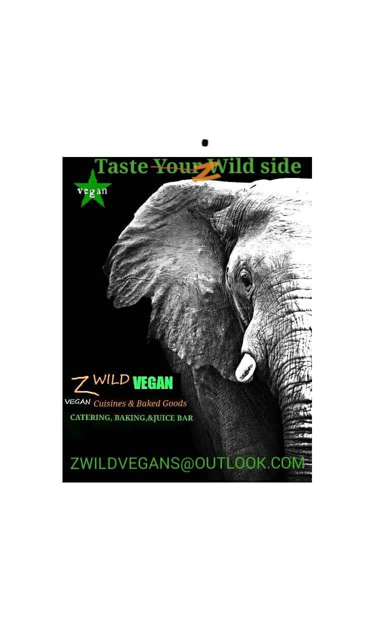 ZWild Vegans | restaurant | 380 W Market St, York, PA 17401, USA | 7178550040 OR +1 717-855-0040
