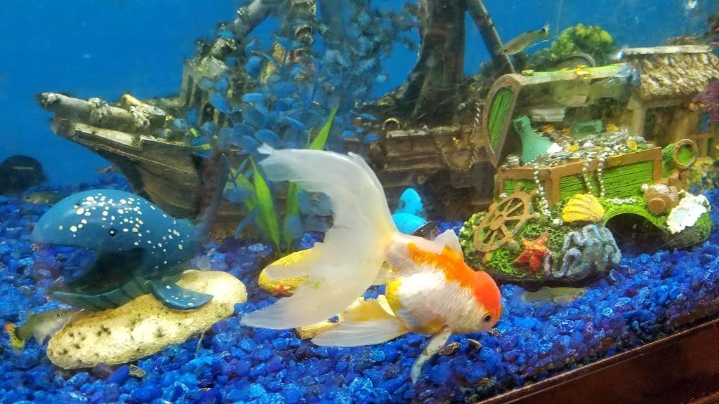 Pho Bom, Vietnamese Noodle & Grill | restaurant | 8800 E Hampden Ave, Denver, CO 80231, USA | 3038436080 OR +1 303-843-6080