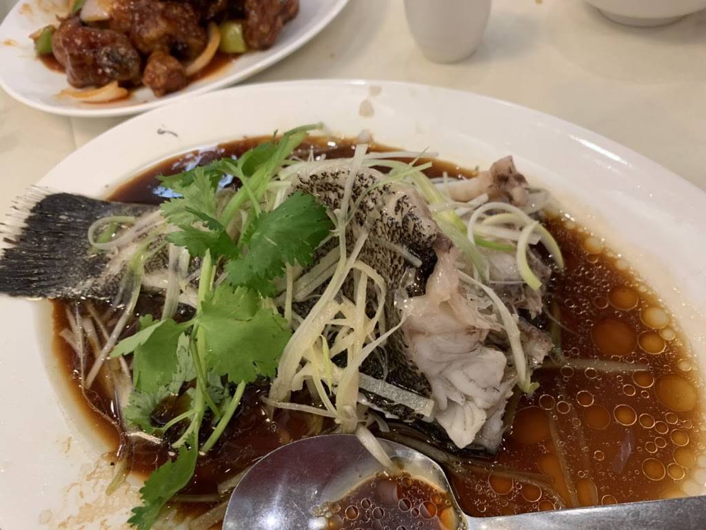 East Ocean Seafood Restaurant | restaurant | 25 Billings Rd #21A, Quincy, MA 02171, USA | 6174726868 OR +1 617-472-6868