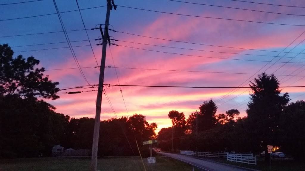 Bella Pizzeria | restaurant | 366 Ridge Rd #1, Spring City, PA 19475, USA | 6104955272 OR +1 610-495-5272