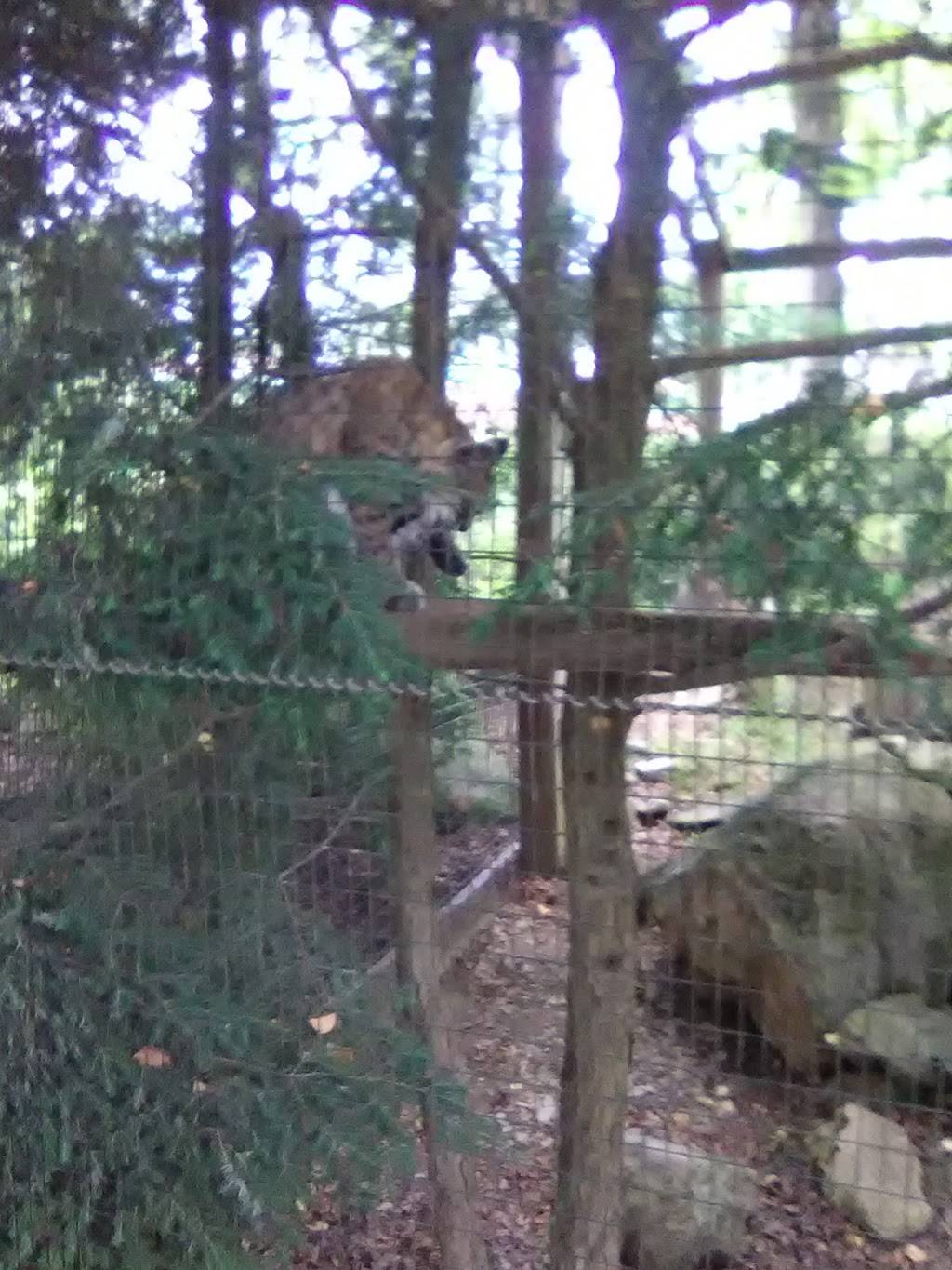 Culinary Experts | restaurant | 1825 W Chew St, Allentown, PA 18104, USA | 6108200800 OR +1 610-820-0800