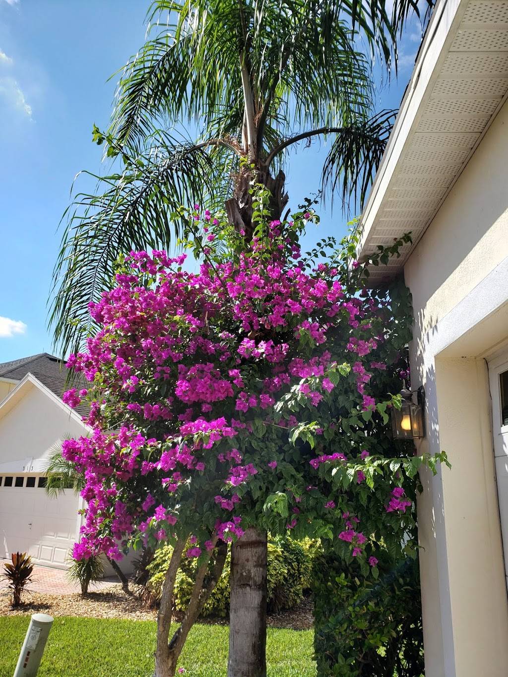 Highlands Reserve Golf Club | meal takeaway | 500 Highlands Reserve Blvd, Davenport, FL 33897, USA | 8634201724 OR +1 863-420-1724