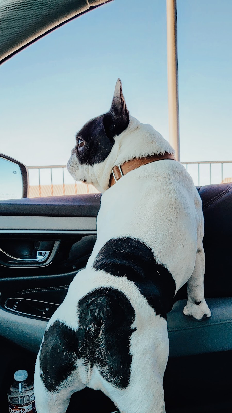 Starbucks | cafe | 6015-A N Mesa St, El Paso, TX 79912, USA | 9155816002 OR +1 915-581-6002