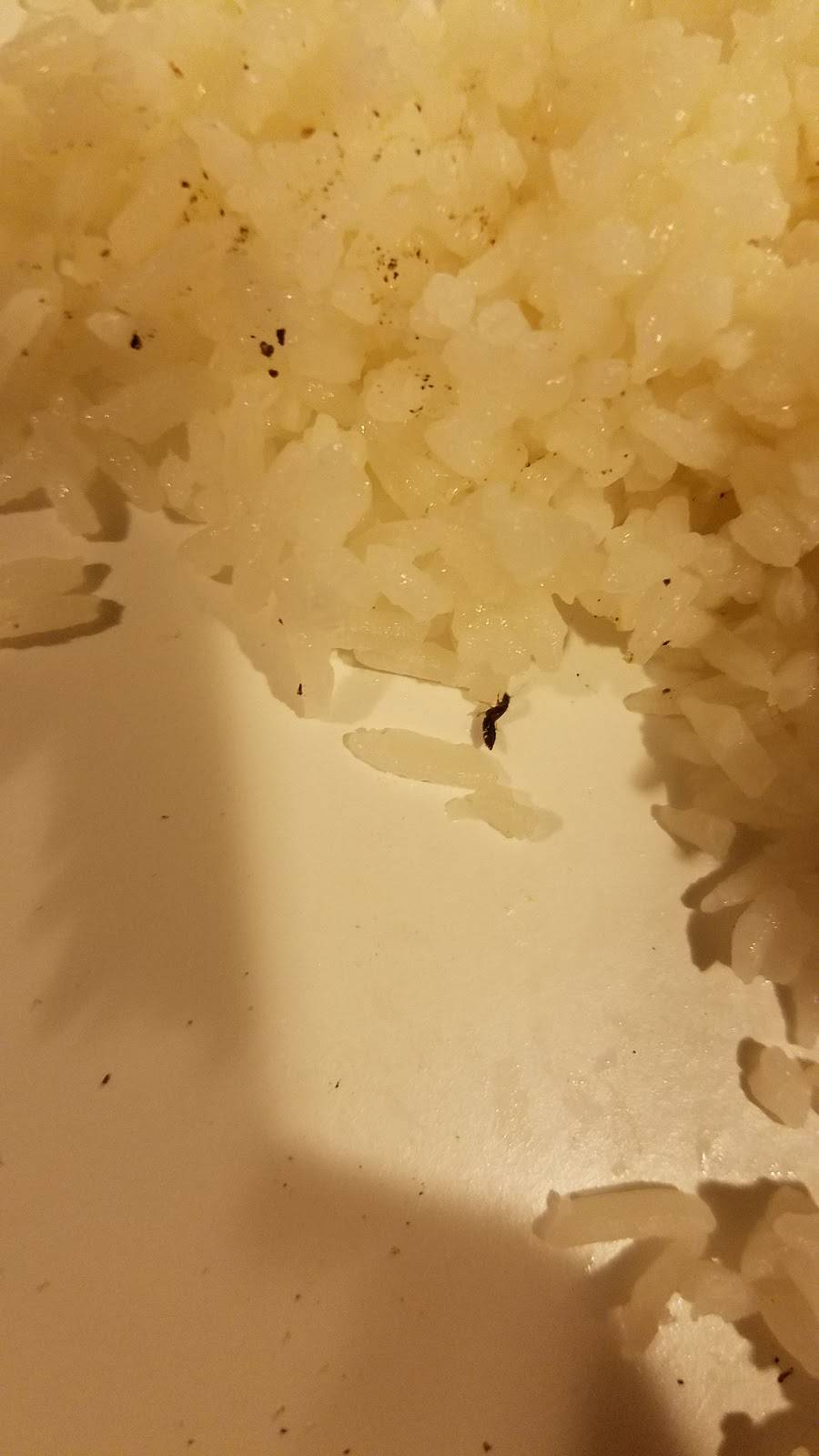 China Sun | restaurant | 102 Bonham Rd #6, Bristol, VA 24201, USA | 2766693232 OR +1 276-669-3232