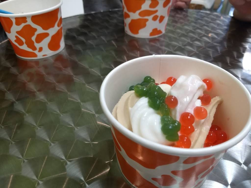 Yobe Frozen Yogurt | restaurant | 16731 Fishhawk Blvd, Lithia, FL 33547, USA | 8136531033 OR +1 813-653-1033