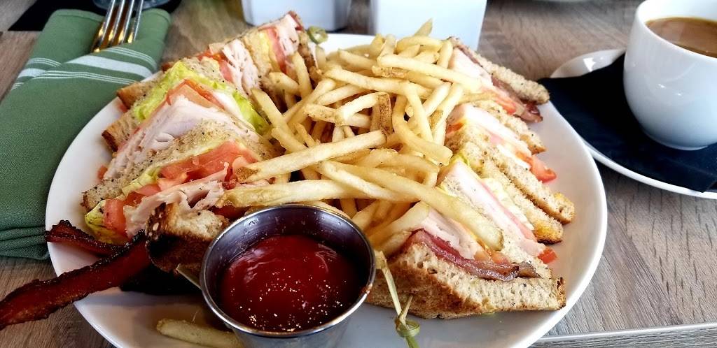 16 On The Park | restaurant | 16, 800 N Wolfe St, Baltimore, MD 21205, USA | 4435248450 OR +1 443-524-8450