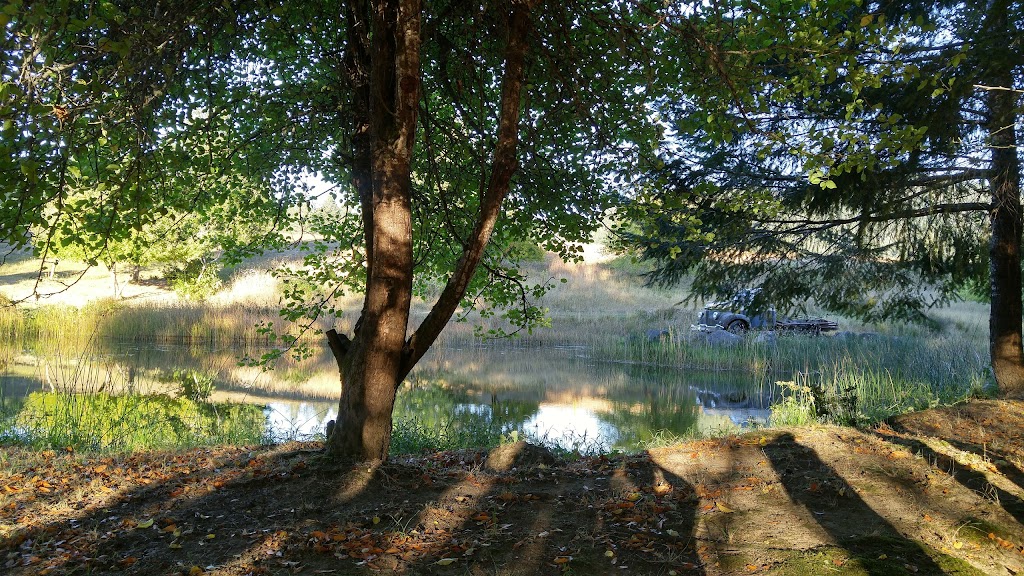 Lucas Lodge | restaurant | 3904 Cougar Ln, Agness, OR 97406, USA | 5412477443 OR +1 541-247-7443