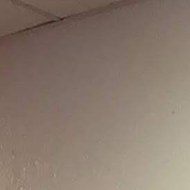 Las Quesabrosaz | restaurant | 909 S WW White Rd, San Antonio, TX 78220, USA | 2104449800 OR +1 210-444-9800