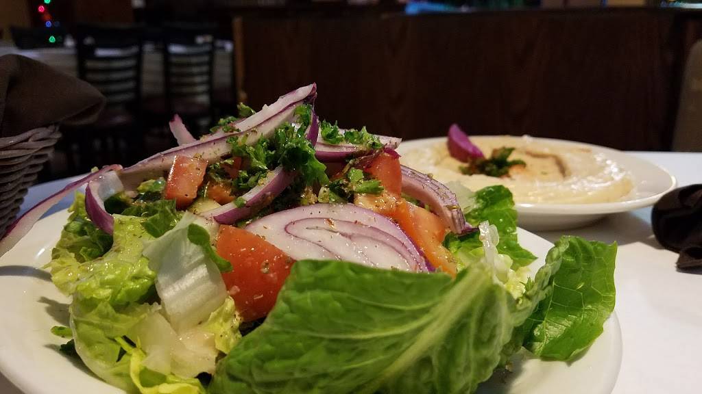 Shish House | restaurant | 8465 Lilley Rd, Canton, MI 48187, USA | 7344515544 OR +1 734-451-5544