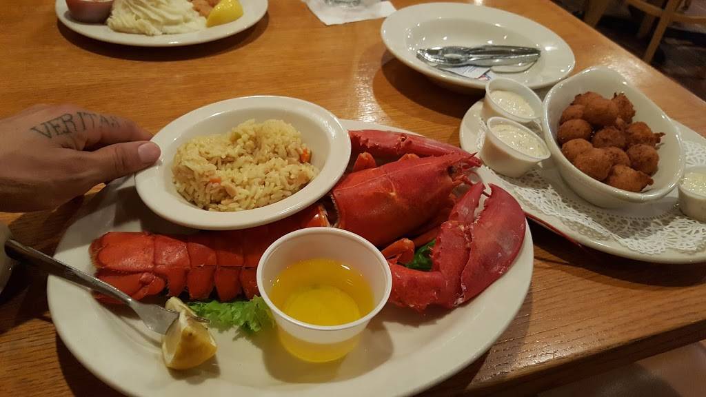 Barnacle Bills Seafood | restaurant | 5050 N Tamiami Trail, Sarasota, FL 34234, USA | 9413557700 OR +1 941-355-7700