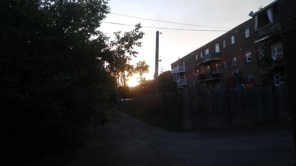 Brasserie Cannebière 1986 Inc | restaurant | 4975 Rue Beaubien E, Montréal, QC H1T 1V3, Canada | 5147293442 OR +1 514-729-3442