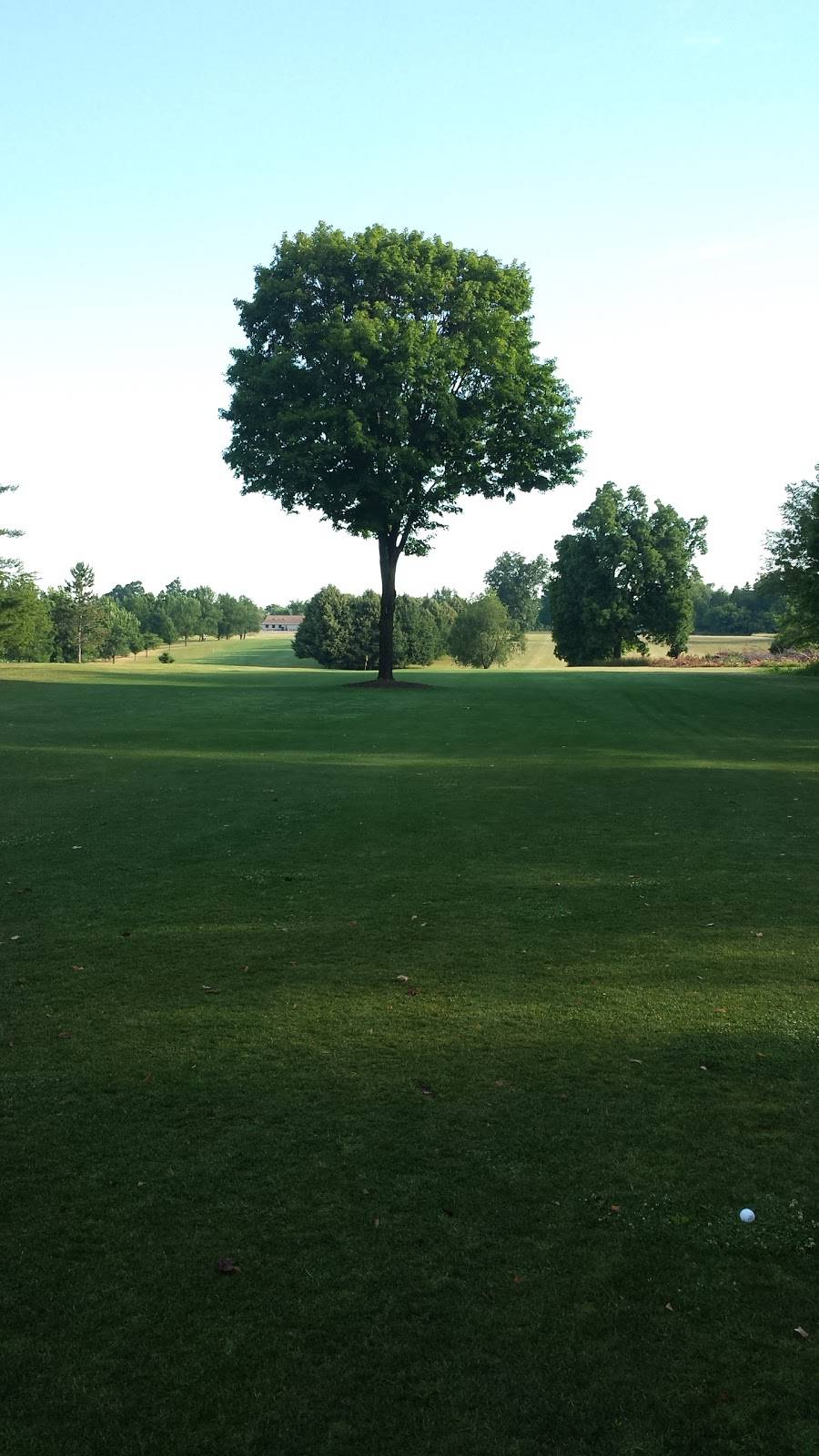 Prairie Creek Golf Course and Banquet Center open weather permit | meal takeaway | 800 E Webb Dr, Dewitt, MI 48820, USA | 5176691958 OR +1 517-669-1958