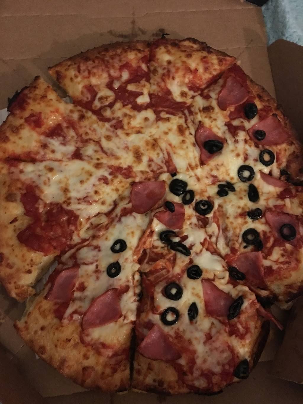 Dominos Pizza | meal delivery | 584 Wisconsin Dells Pkwy S, Wisconsin Dells, WI 53965, USA | 6082531900 OR +1 608-253-1900