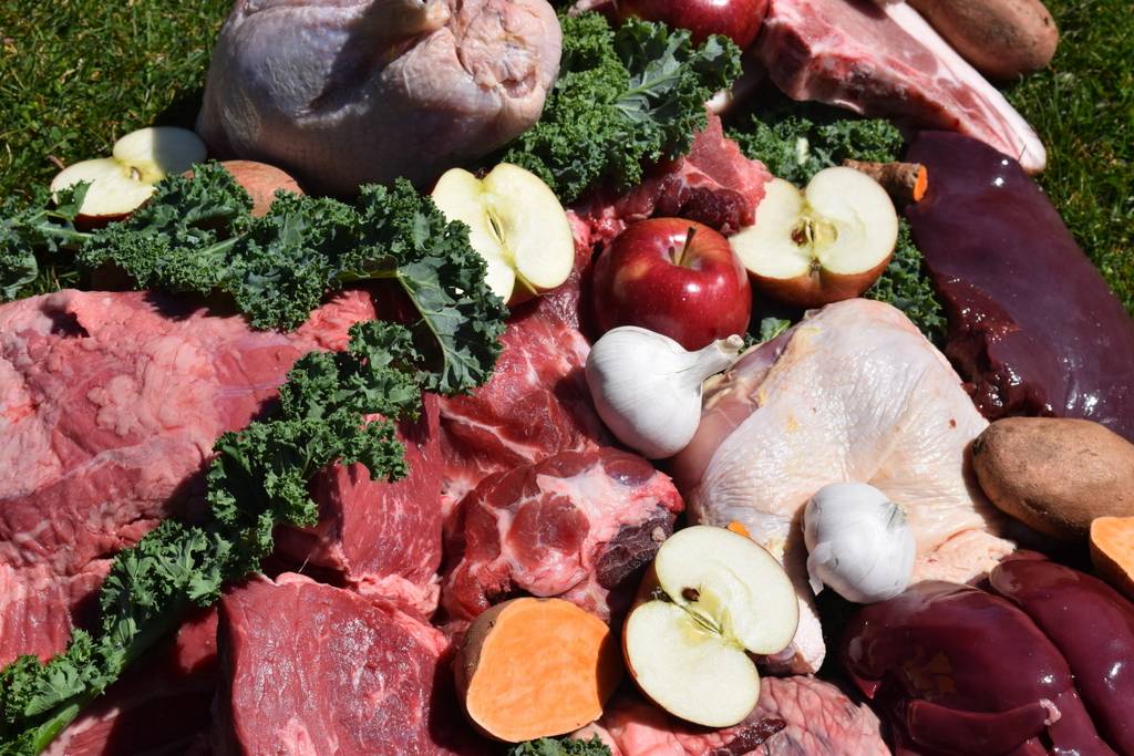 Kaskazini Kitchen | restaurant | 881 Turnpike Rd, East Meredith, NY 13757, USA | 6077468874 OR +1 607-746-8874