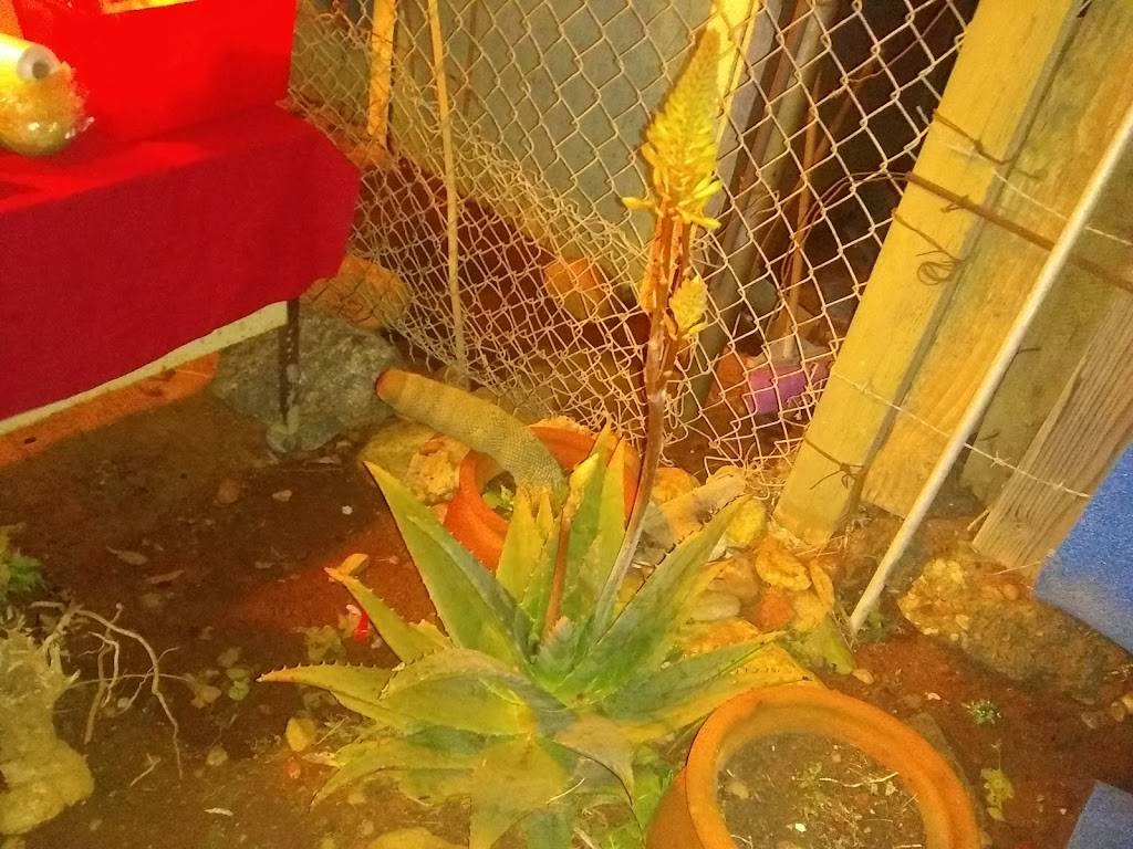 Hamburguesas El Desierto | restaurant | Tijuana, Baja California, Mexico | 016643080885 OR +52 664 308 0885