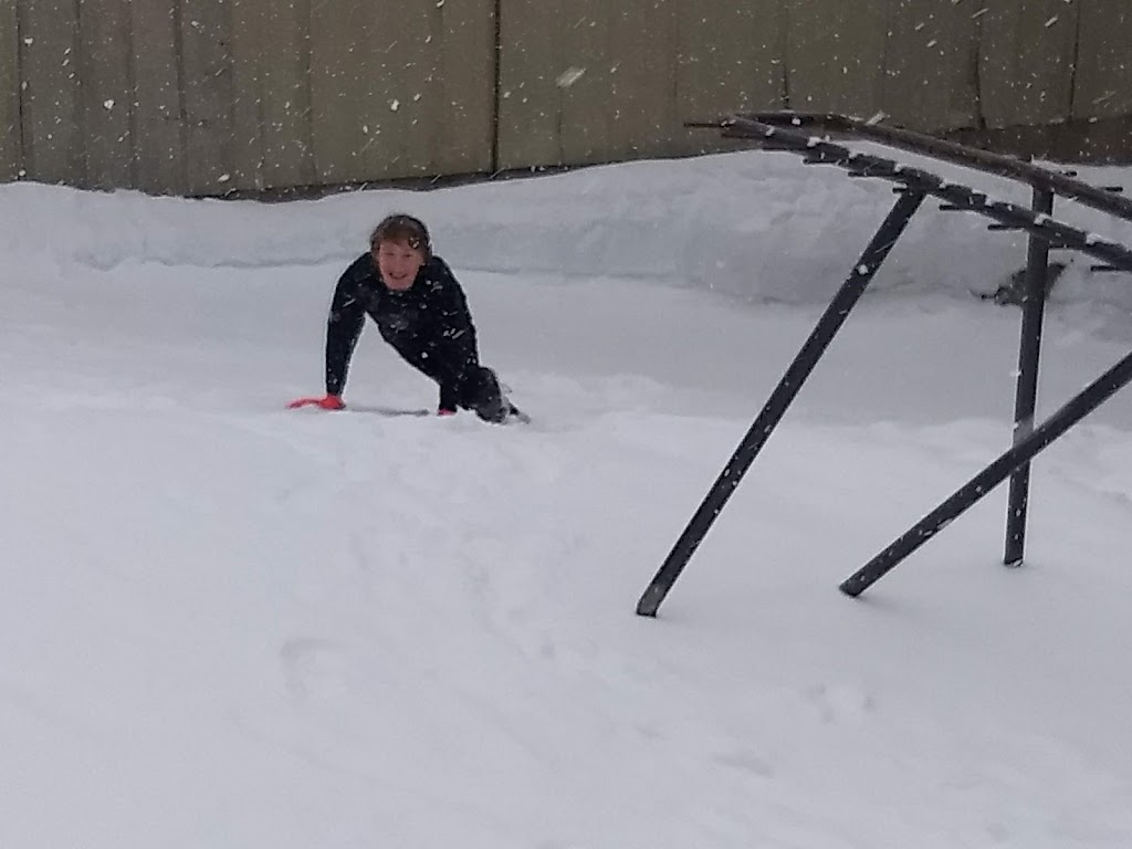 Wolf Creek Ski Area | restaurant | E Hwy 160 E, Pagosa Springs, CO 81147, USA | 9702645639 OR +1 970-264-5639