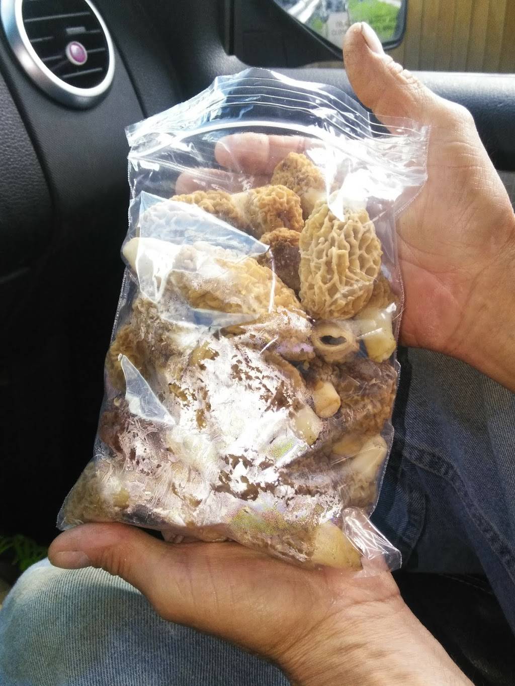 Little Caesars Pizza | meal takeaway | 2120 Mitchell Ave, St Joseph, MO 64507, USA | 8162798500 OR +1 816-279-8500