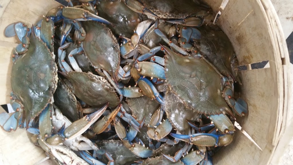 Southern Maryland Crabs & Seafood | restaurant | 3619 Leonardtown Rd, Waldorf, MD 20601, USA | 2404193094 OR +1 240-419-3094