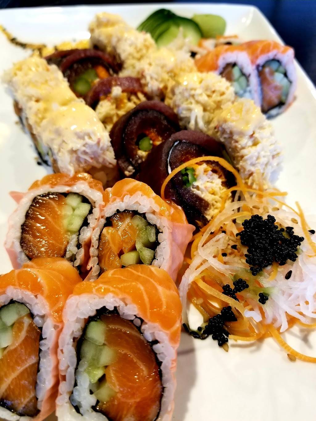 The Lure | restaurant | 2402 S MacDill Ave, Tampa, FL 33629, USA | 8135336011 OR +1 813-533-6011