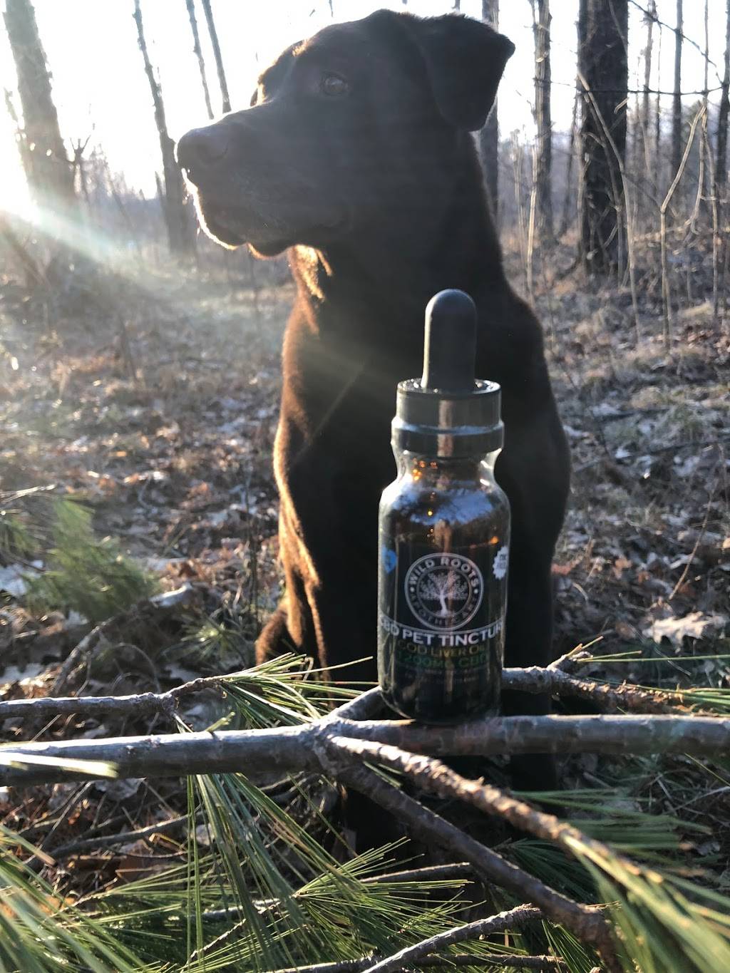 Wild Roots Apothecary | restaurant | 320 Ross Ave Suite 17, Schofield, WI 54476, USA | 7158702097 OR +1 715-870-2097