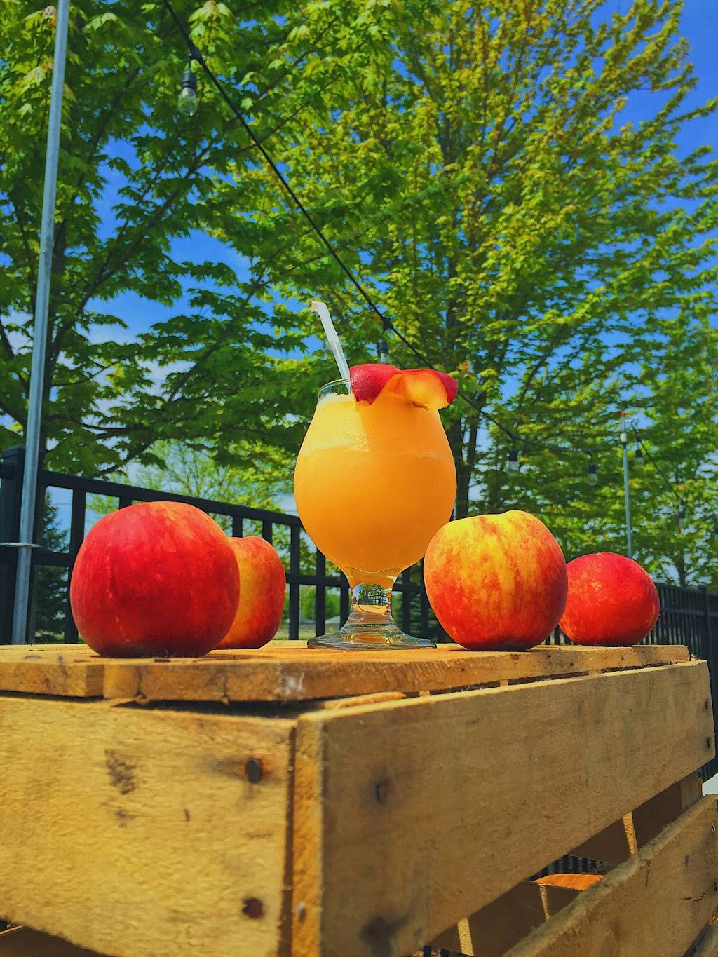 Hudsonville Winery | restaurant | 3768 Chicago Dr, Hudsonville, MI 49426, USA | 6166624589 OR +1 616-662-4589