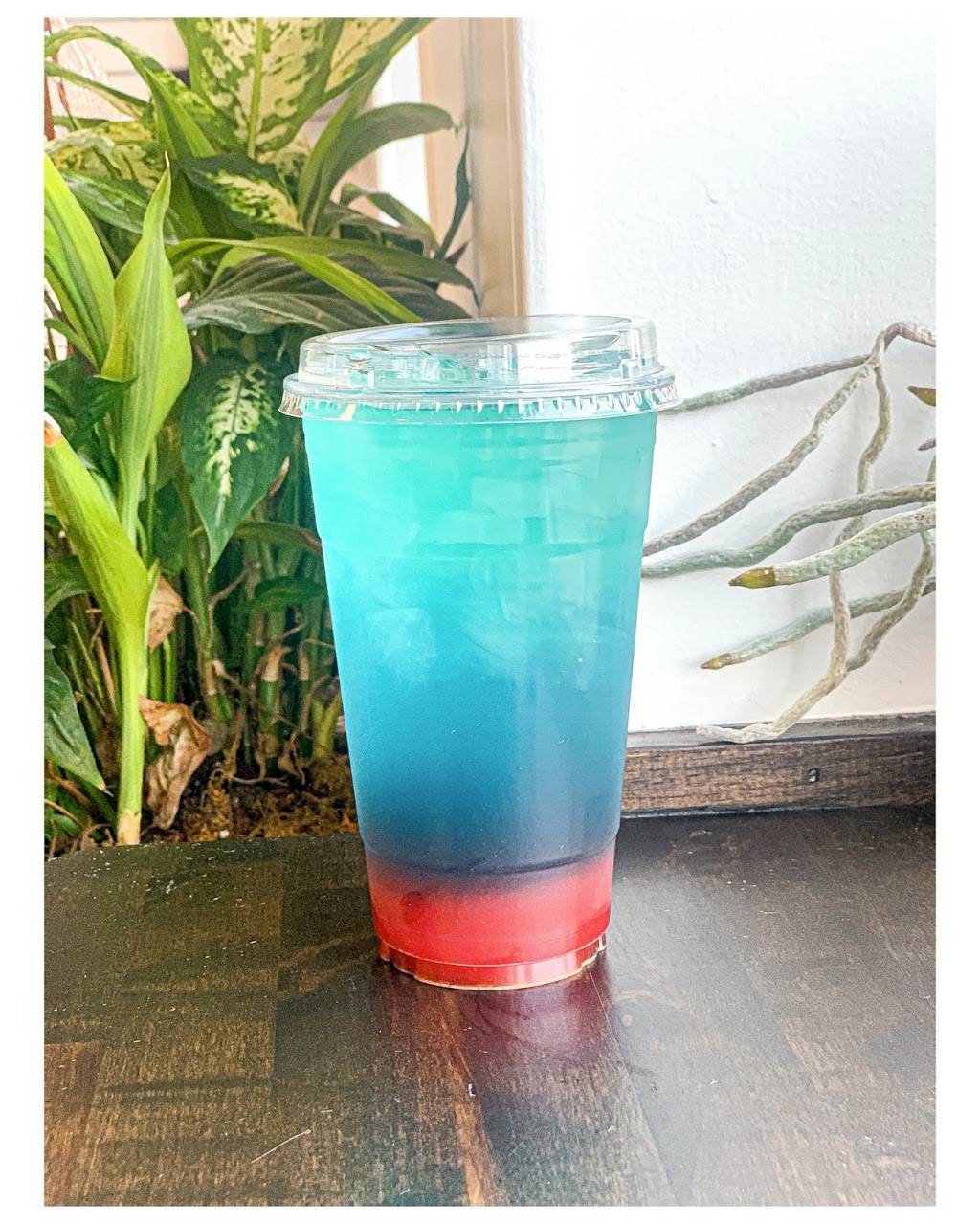 Vida Nutrition | restaurant | 939 County St, Somerset, MA 02726, USA | 5086174511 OR +1 508-617-4511