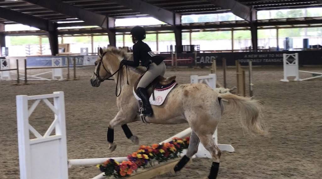 HARAS HACIENDA | restaurant | 26427 Peden Rd, Magnolia, TX 77355, USA | 2812594861 OR +1 281-259-4861