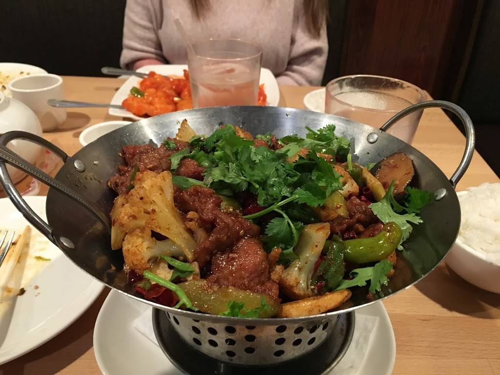 Andorra Ping Pong Chinese Restaurant | restaurant | 8500 Henry Ave, Philadelphia, PA 19128, USA | 2673315964 OR +1 267-331-5964