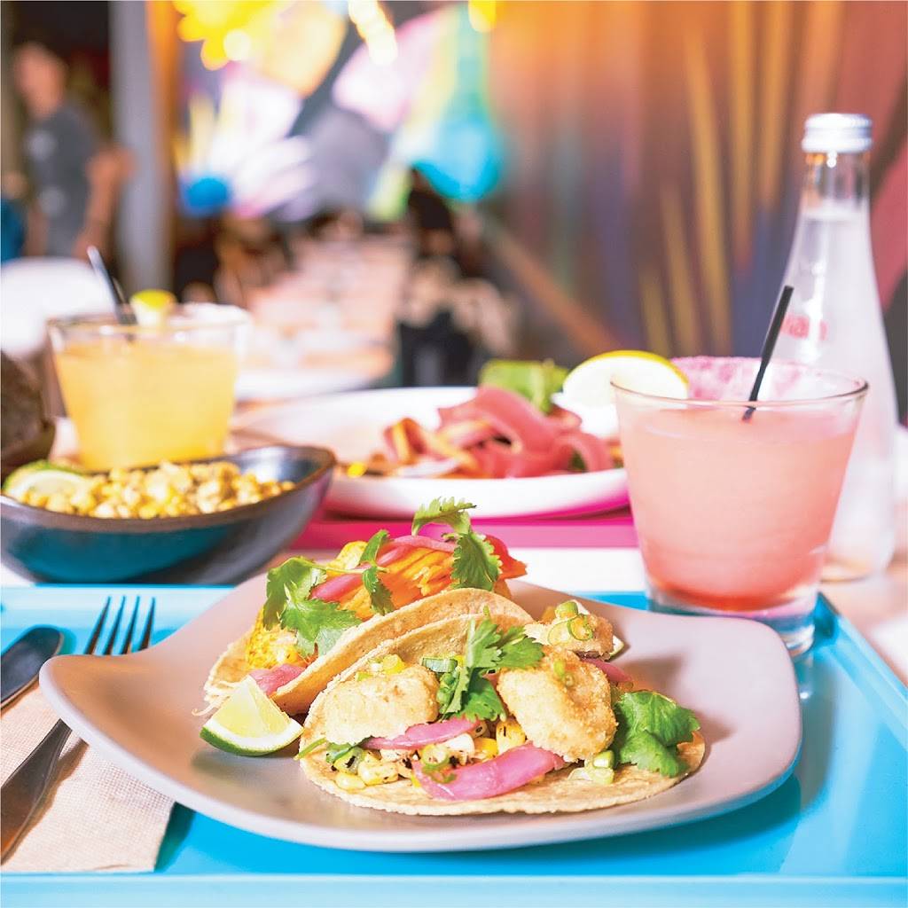 Taco Dumbo | restaurant | 56 Prospect St, Brooklyn, NY 11201, USA | 3472020306 OR +1 347-202-0306