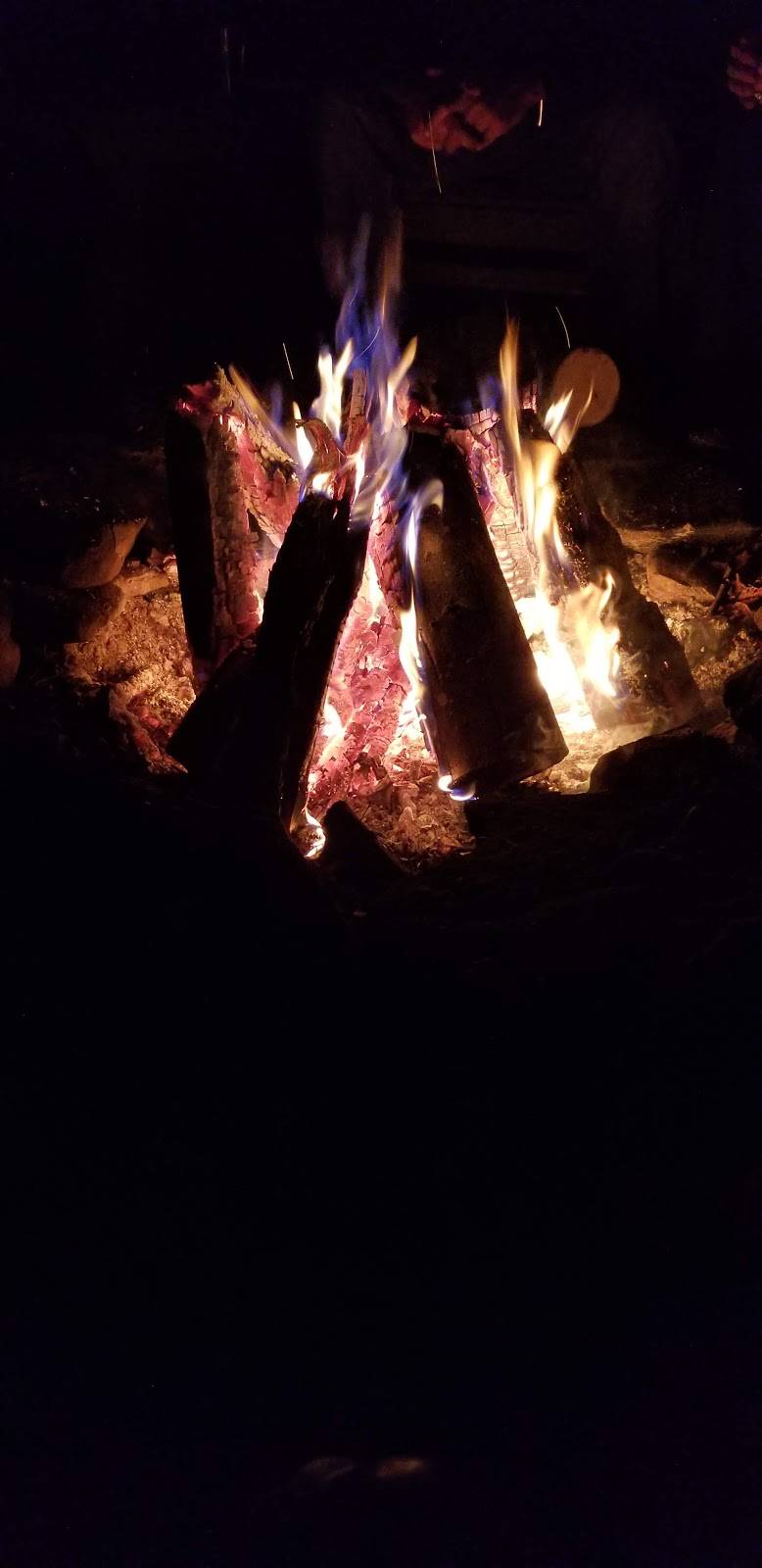 Old School Farm | restaurant | 303 Upper Woods Rd, Honesdale, PA 18431, USA | 5702531393 OR +1 570-253-1393