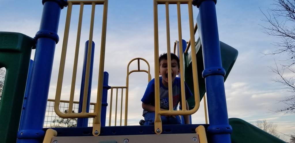 C&Js Sweet Snow | restaurant | Providence Village, TX 76227, USA | 4692379819 OR +1 469-237-9819