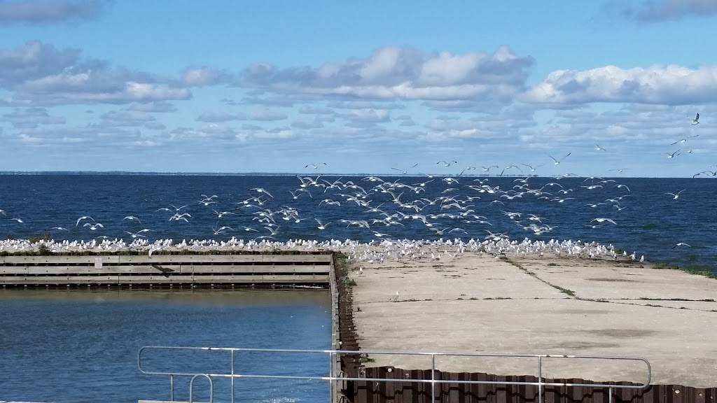 Chaudoirs Dock | restaurant | 10863 County Rd N, Brussels, WI 54204, USA | 9208251384 OR +1 920-825-1384