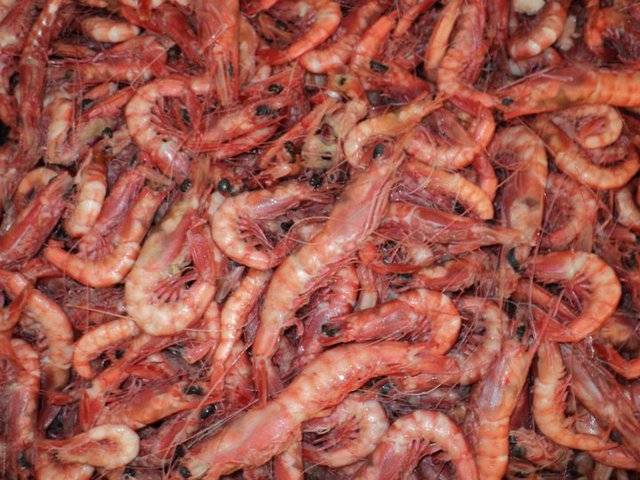 Gulf Seafood Outlet | restaurant | 295 US-51, Ridgeland, MS 39157, USA | 6017909407 OR +1 601-790-9407