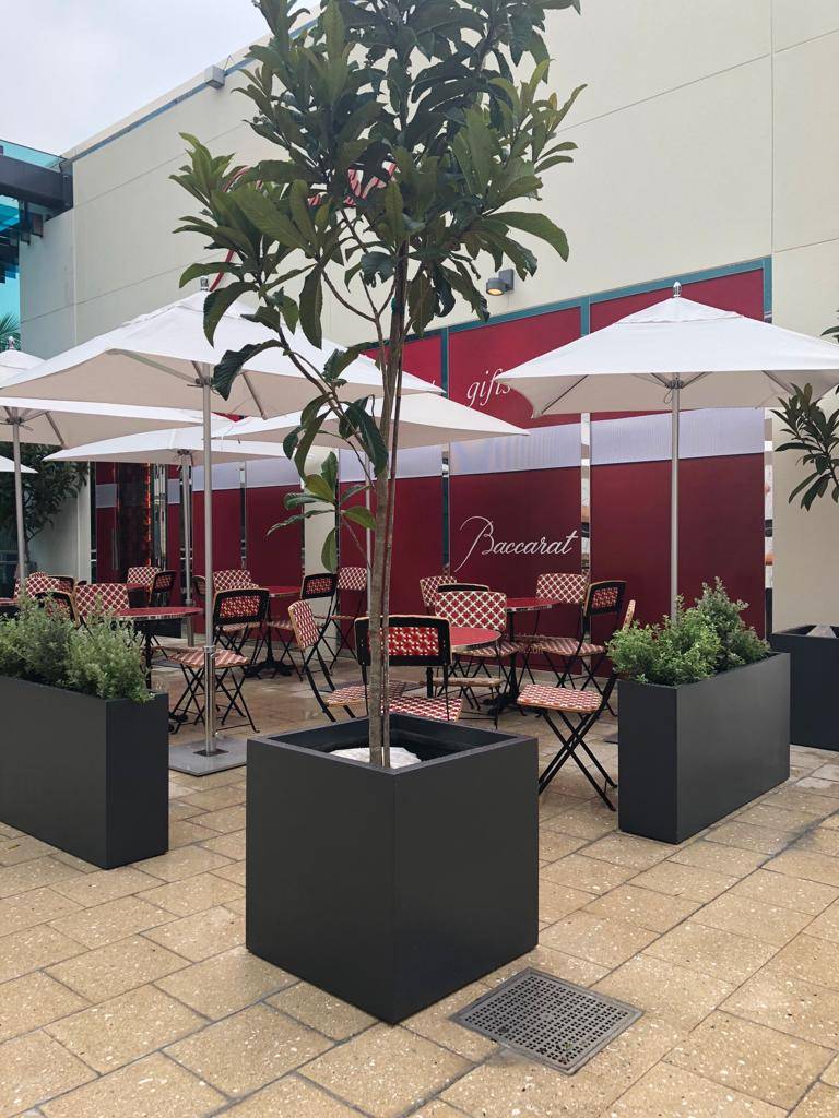 Baccarat Boutique BBar & Lounge | restaurant | 140 NE 39th St Space 210, Miami, FL 33137, USA | 7868705809 OR +1 786-870-5809