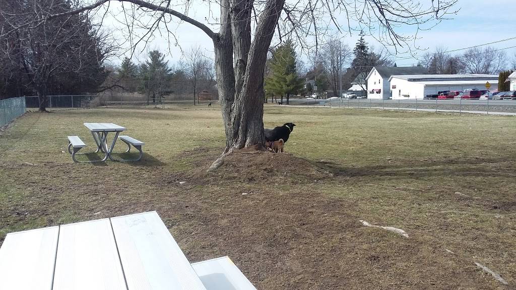 Palatine Park Pizza | restaurant | 85 Palatine Park Rd, Germantown, NY 12526, USA | 5185376262 OR +1 518-537-6262