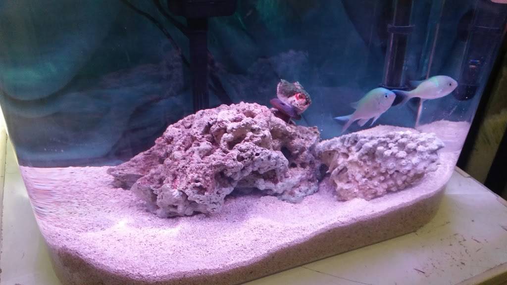 Sabor Centro Americano | meal delivery | 12 Central Ave, Chelsea, MA 02150, USA | 6178840808 OR +1 617-884-0808