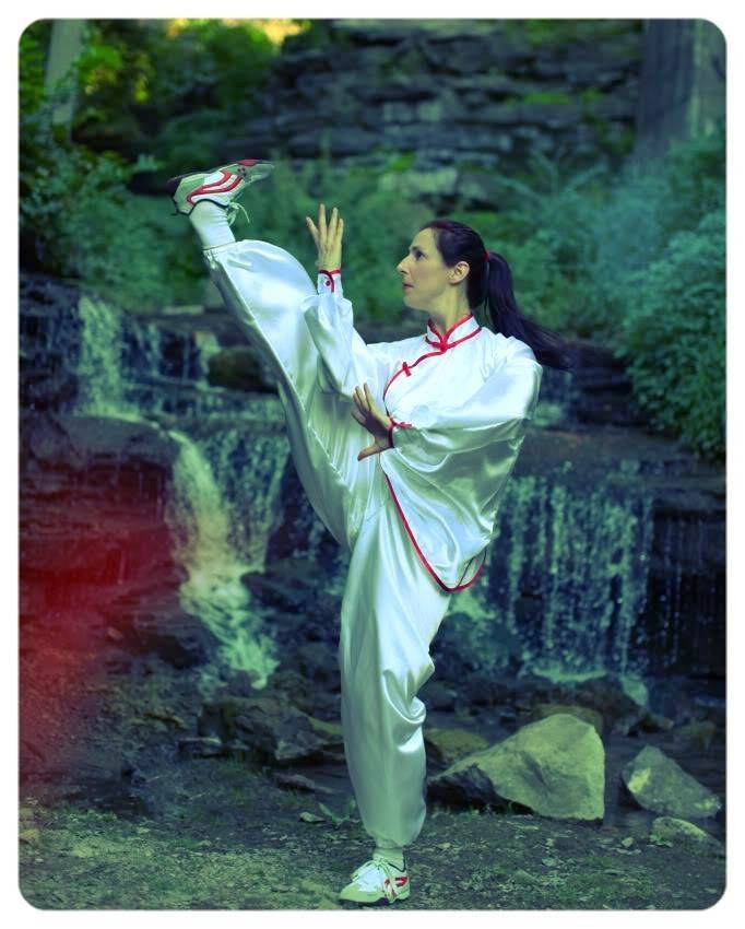Gold Summit Kungfu Tai Chi Institute | restaurant | 255 Great Arrow Ave suite 112, Buffalo, NY 14207, USA | 7168743939 OR +1 716-874-3939
