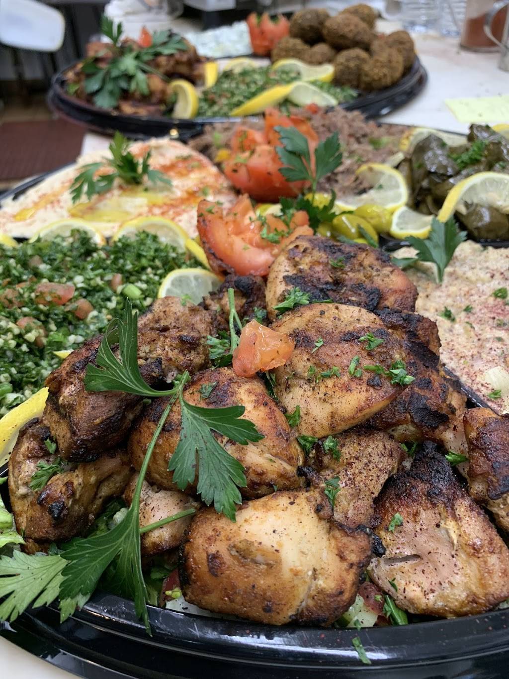 Aladdin Gourmet | meal takeaway | 208 E Hillsdale Blvd, San Mateo, CA 94403, USA | 6502127775 OR +1 650-212-7775