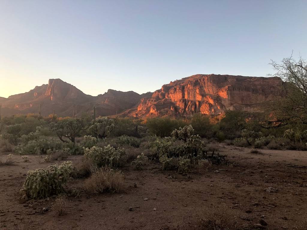 Cloth & Flame | restaurant | 1 N 1st St #600, Phoenix, AZ 85004, USA | 4804286028 OR +1 480-428-6028