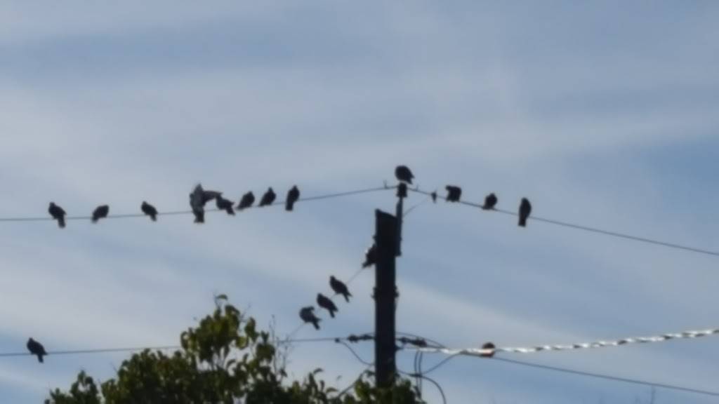 501 Pizza Subs & Deli | restaurant | 501 Mammoth Rd, Londonderry, NH 03053, USA | 6034320058 OR +1 603-432-0058