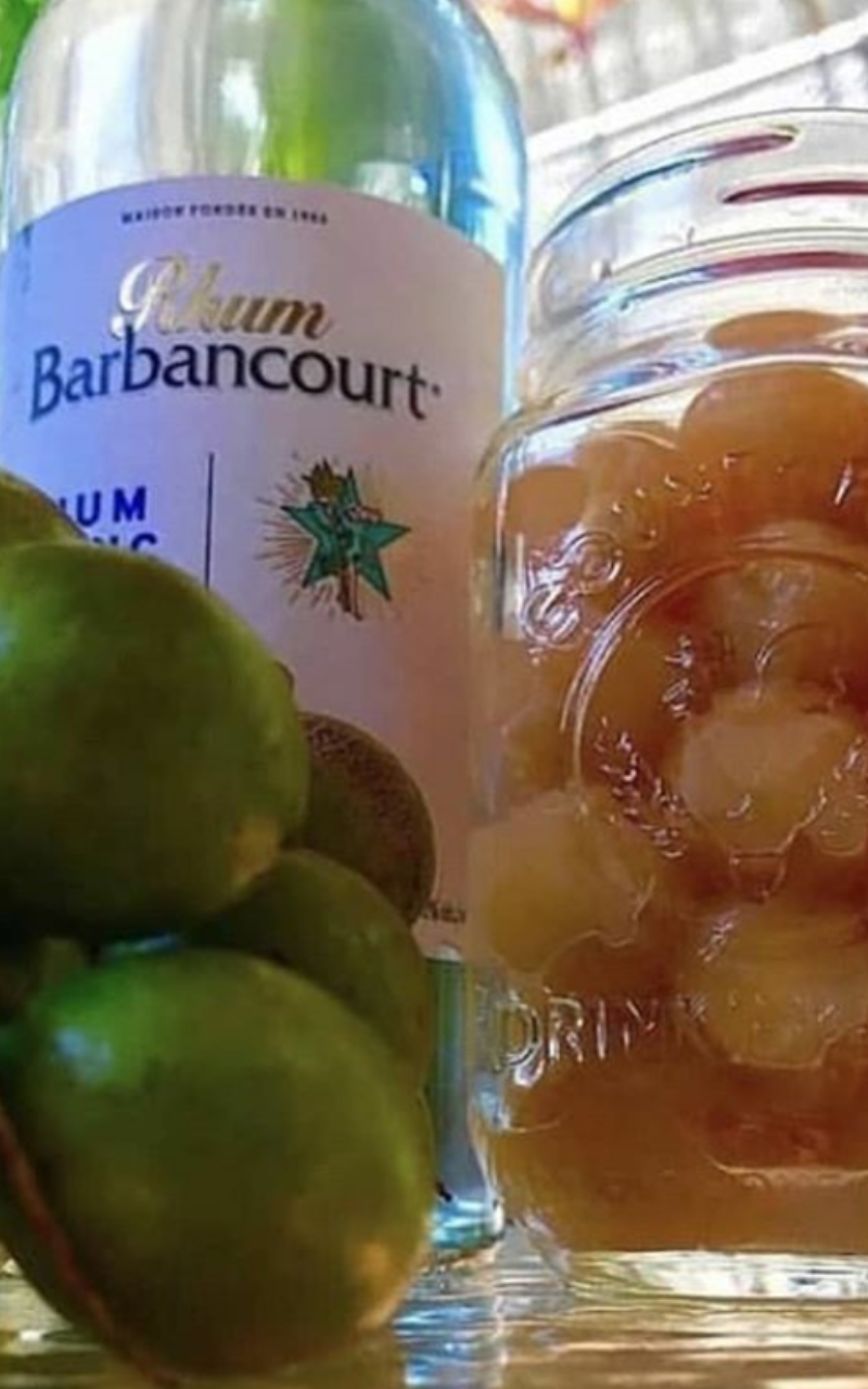 Bistro1804 Inc | restaurant | 3612 Clarendon Rd, Brooklyn, NY 11203, USA | 3474619529 OR +1 347-461-9529