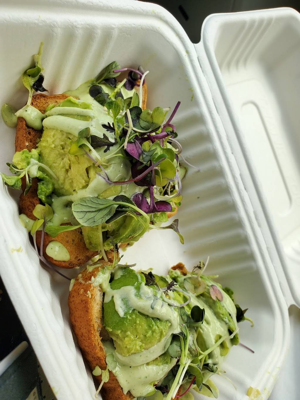 The Green Cat Juice Bar & Market | cafe | 3801 Pacific Ave, Virginia Beach, VA 23451, USA | 7574177377 OR +1 757-417-7377