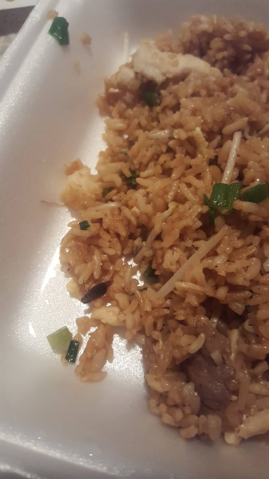 Hunan King | meal takeaway | 5714 Chimney Rock Rd, Houston, TX 77081, USA | 7136614481 OR +1 713-661-4481