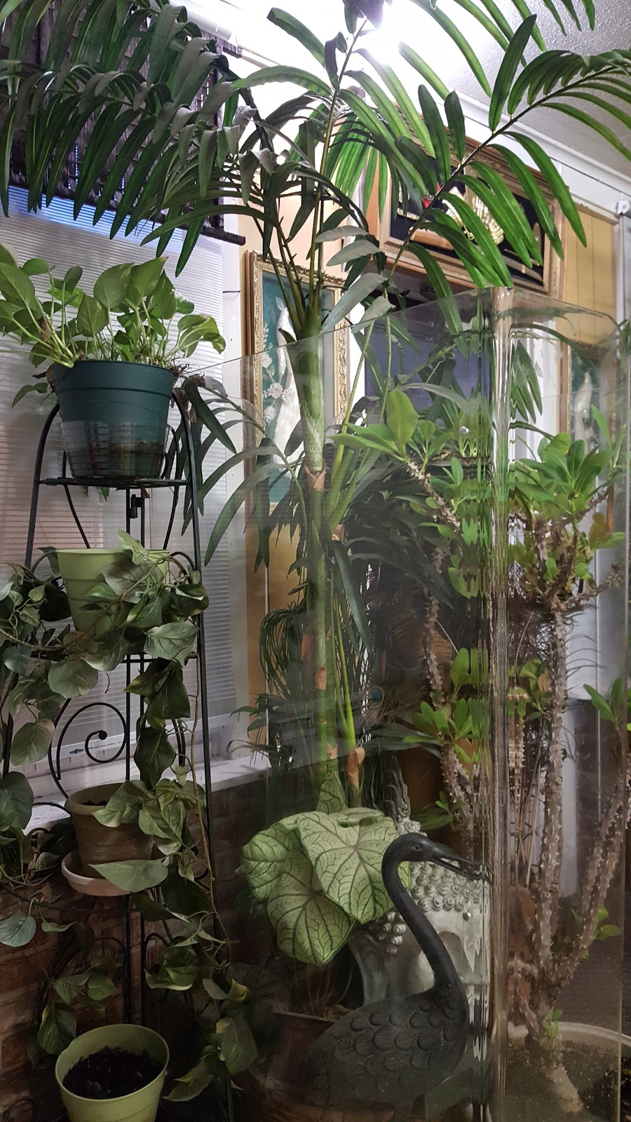 Bangkok 103 Cafe | restaurant | 44 N College Ave A, College Place, WA 99324, USA | 5095223007 OR +1 509-522-3007