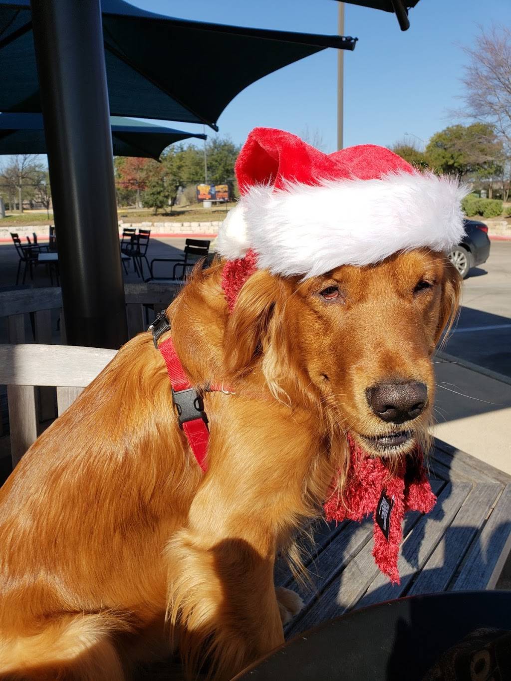 Starbucks | cafe | 1525 Cypress Creek Road A, Cedar Park, TX 78613, USA | 5124019985 OR +1 512-401-9985