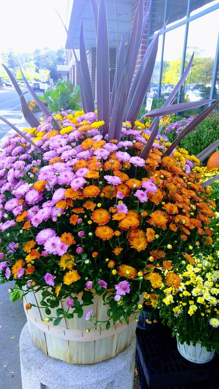 Copps Hill Plaza | shopping mall | 125 Danbury Rd, Ridgefield, CT 06877, USA | 2036355560 OR +1 203-635-5560